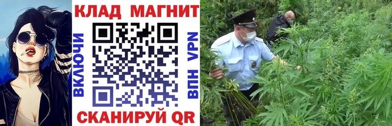 Купить закладку Галлюциногенные грибы  Меф мяу мяу  Нестеров