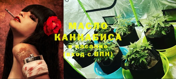 молекула духа Зеленодольск